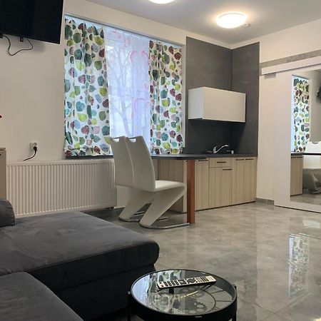 Apartamenty Sw.Rocha ビャウィストク エクステリア 写真